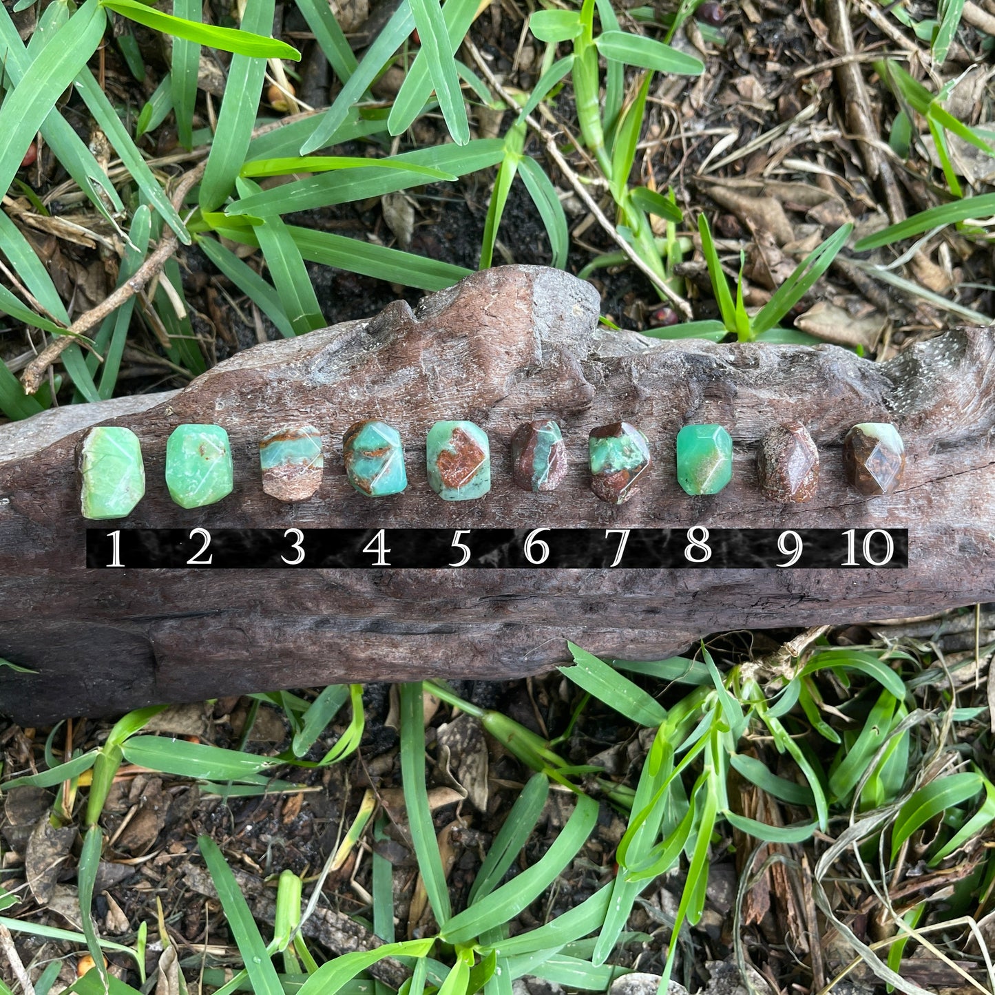 "Field Party" Chrysoprase Chunk Leather Adjustable Necklace