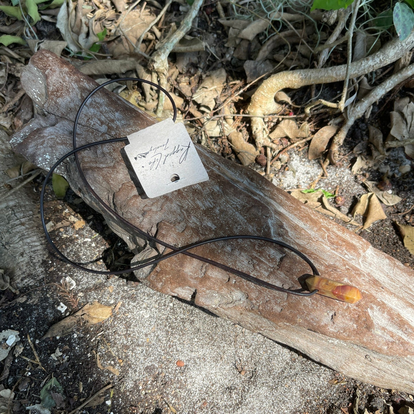 "Ancient Knowledge" Petrified Wood Point On Leather