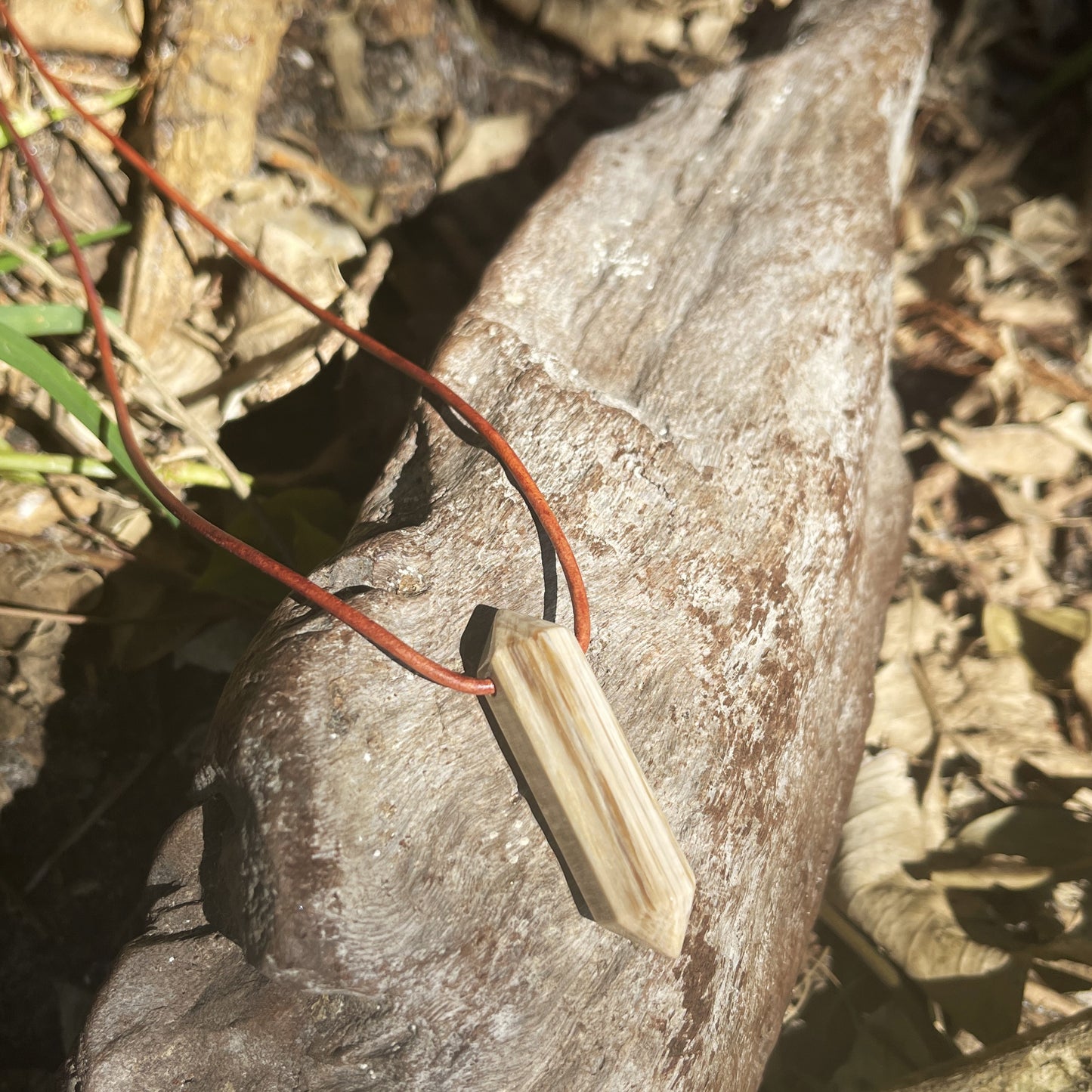 "Ancient Knowledge" Petrified Wood Point On Leather