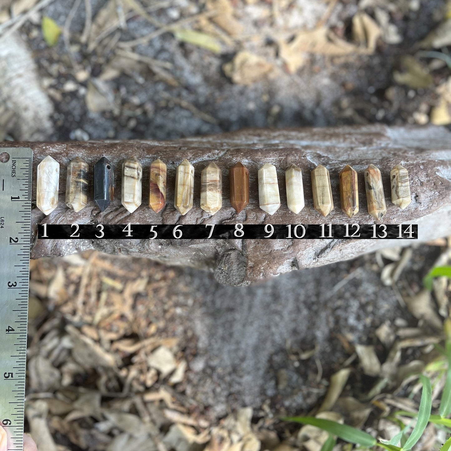 "Ancient Knowledge" Petrified Wood Point On Leather