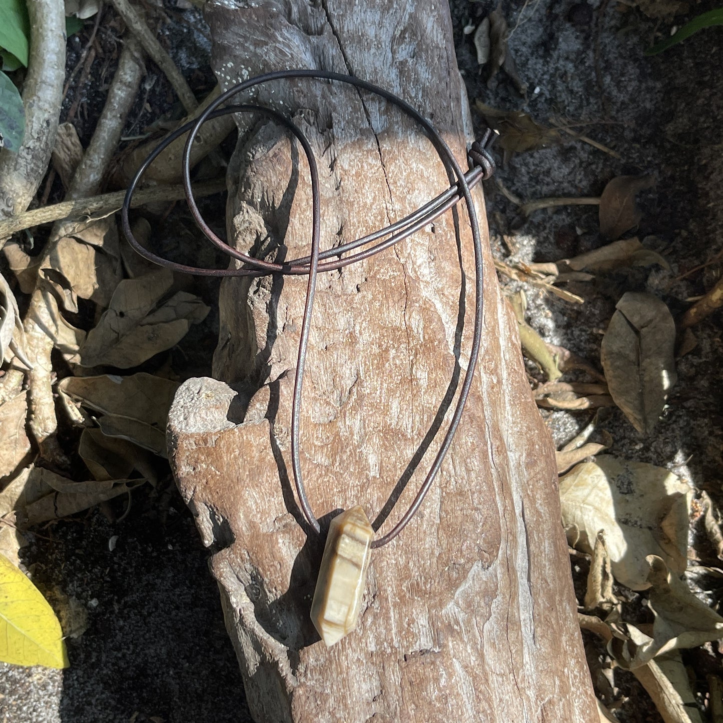 "Ancient Knowledge" Petrified Wood Point On Leather