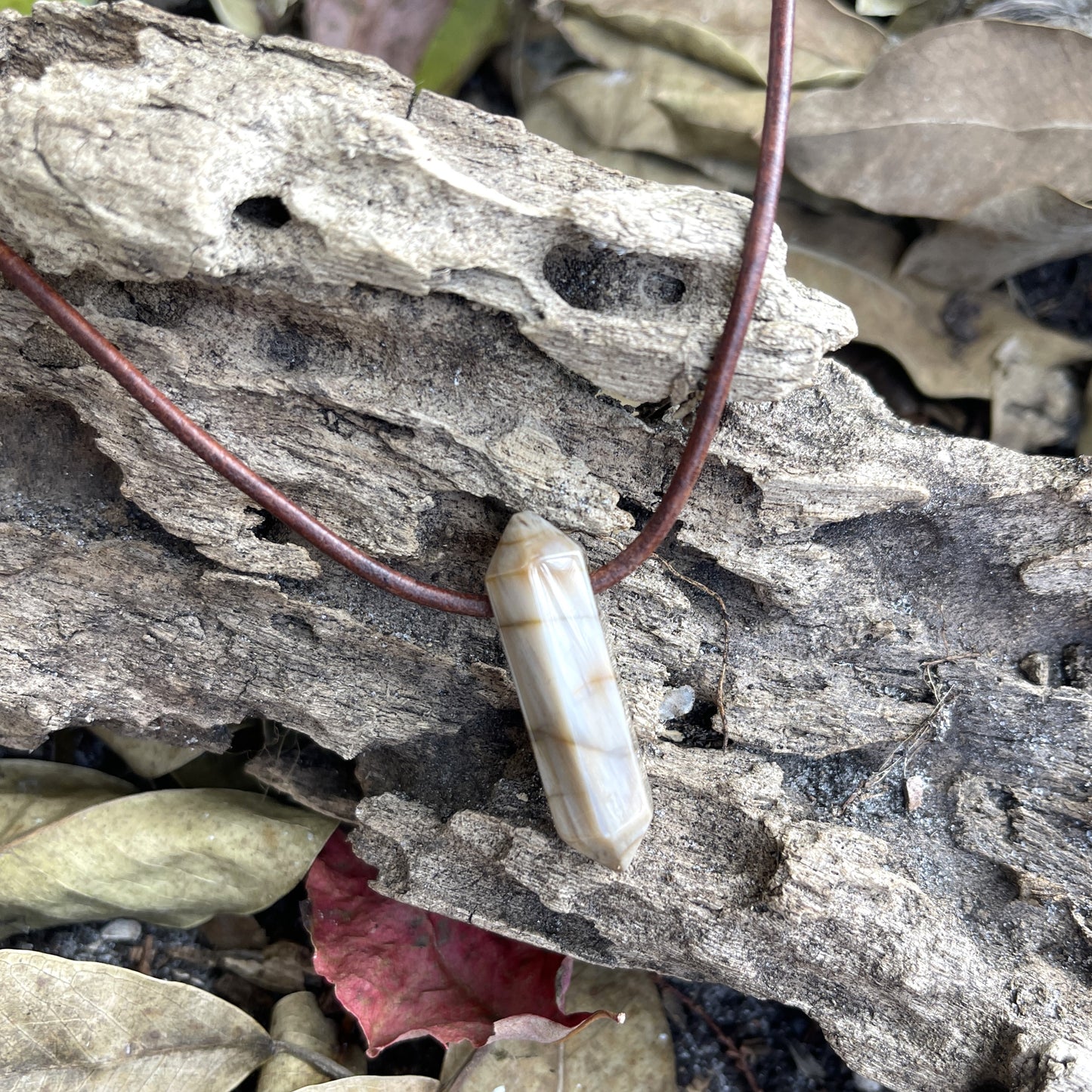 "Ancient Knowledge" Petrified Wood Point On Leather