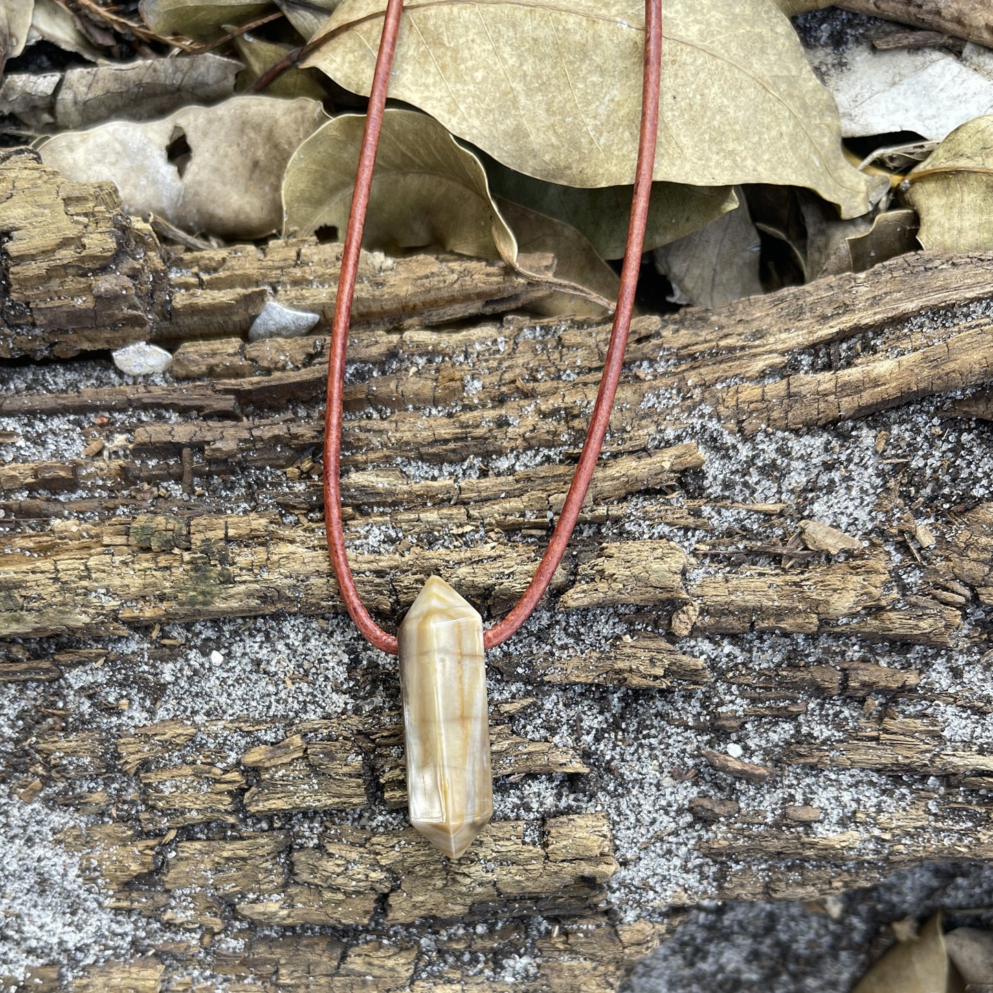 "Ancient Knowledge" Petrified Wood Point On Leather