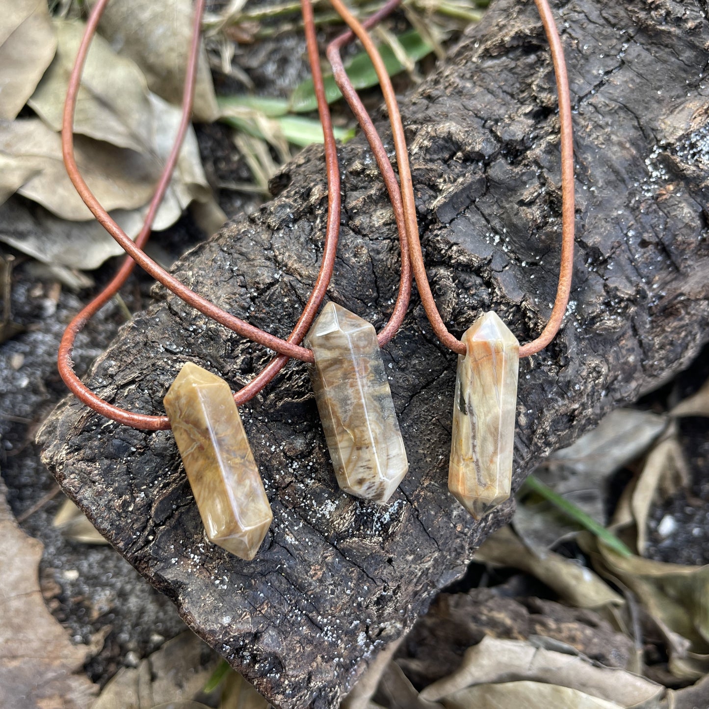 "Ancient Knowledge" Petrified Wood Point On Leather