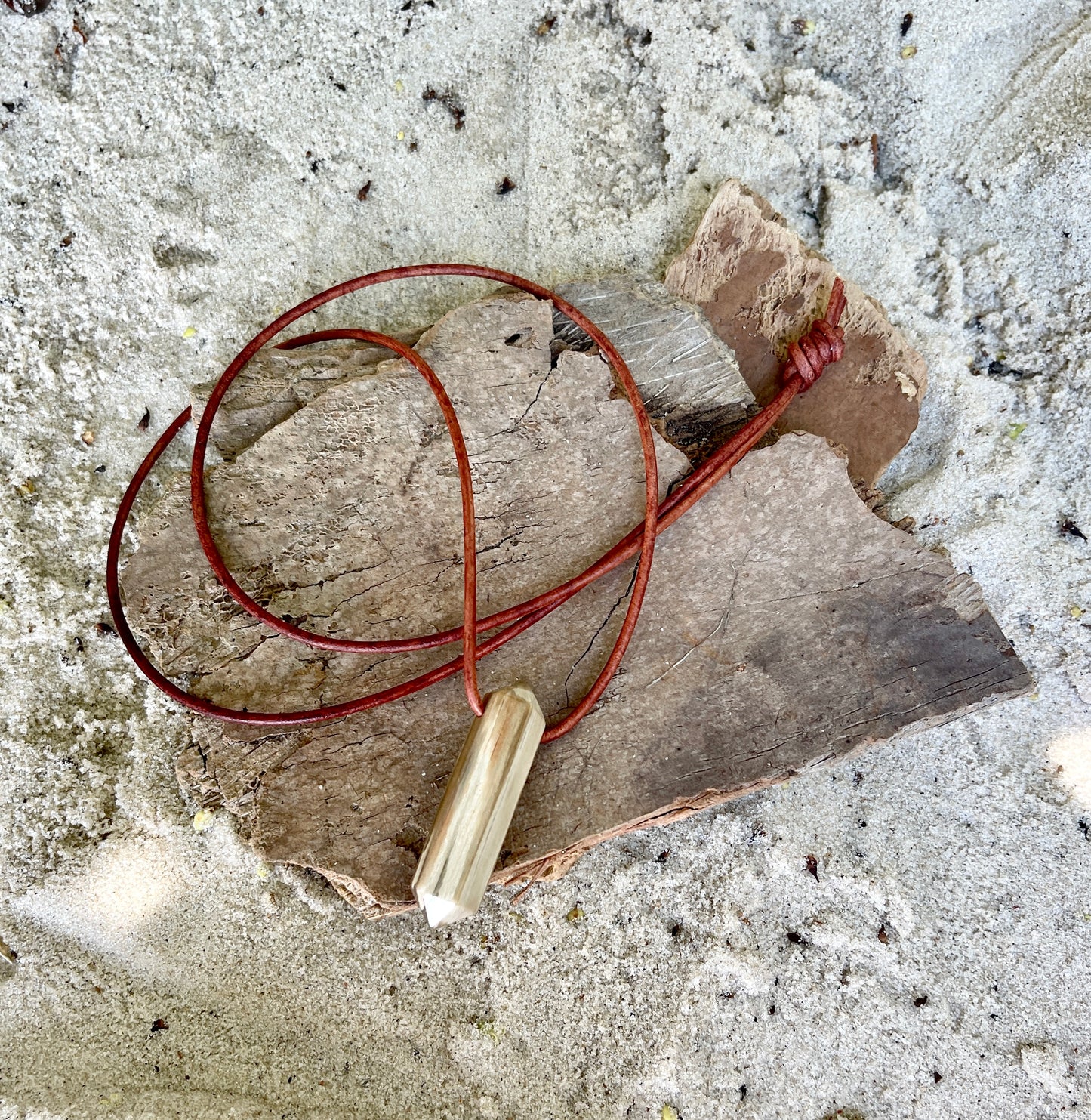 "Ancient Knowledge" Petrified Wood Point On Leather