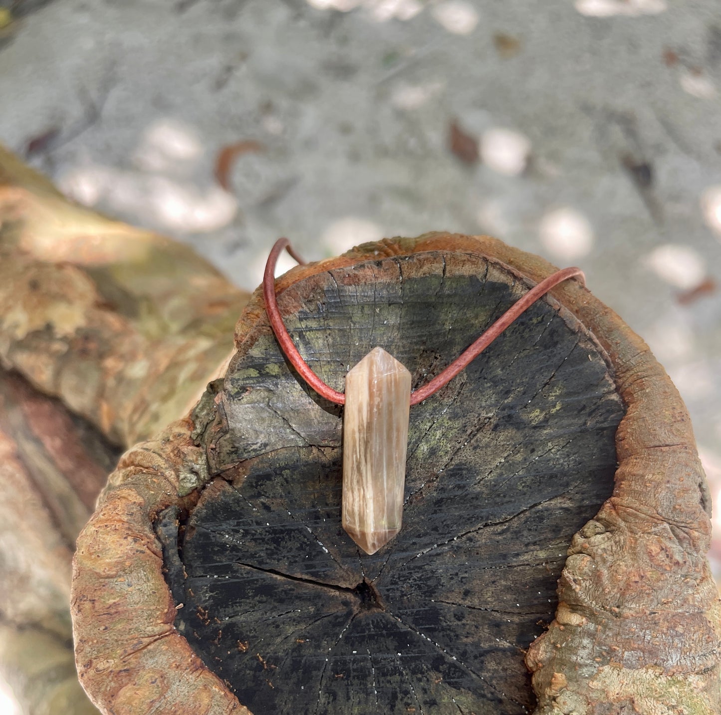 "Ancient Knowledge" Petrified Wood Point On Leather