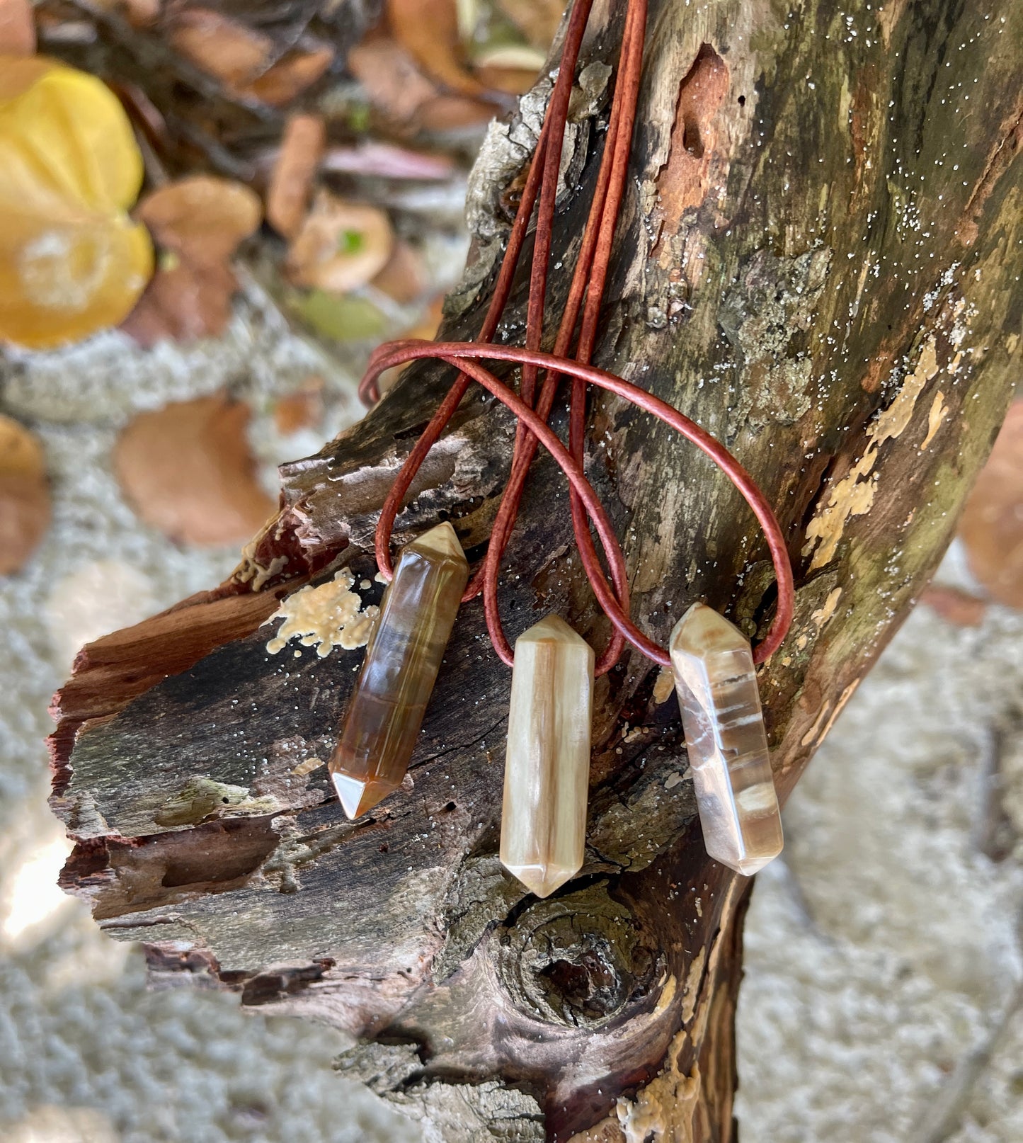 "Ancient Knowledge" Petrified Wood Point On Leather