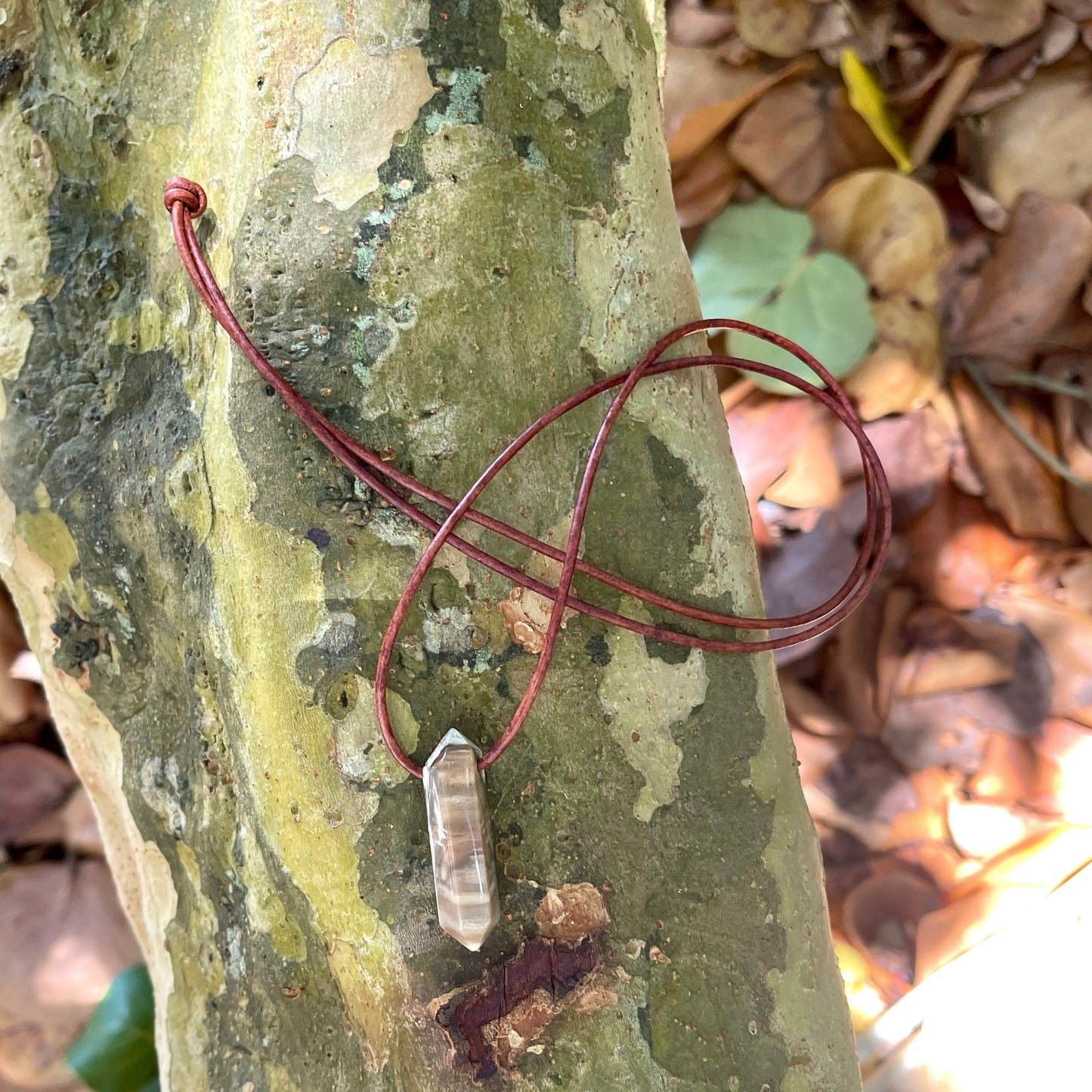 "Ancient Knowledge" Petrified Wood Point On Leather